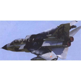 Tornado IDS &quot;Black Panther&quot;, Italeri 2668, M 1:48