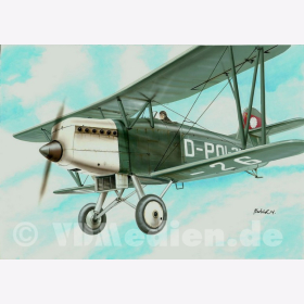 Arado 65 Luftpolizei, RS-Models 1:72 92040