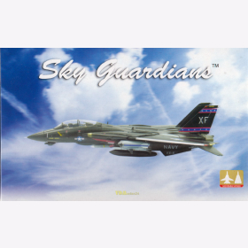 F-14A Tomcat VX-4 mid 1980s -  Sky Guardians 5125 M 1:72