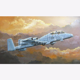 N/AW A-10A Thunderbolt II 1:72 Hobby Boss 80267