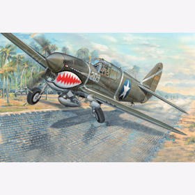 Trumpeter 03227 P-40F War Hawk 1:32 Modellbau Flugzeug