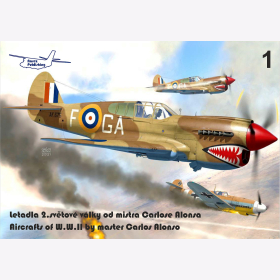 Aircrafts of WWII by master Carlos Alonso Farbprofile Luftfahrtprofile Flieger Flugzeuge Geschichte