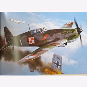 Aircrafts of WWII by master Carlos Alonso Farbprofile Luftfahrtprofile Flieger Flugzeuge Geschichte