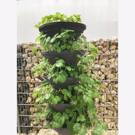 Vertical Garden XL Turm-Hochbeet/Pflanzturm f&uuml;r den Garten: das schneckenfreie Hochbeet/Schiefergrau Garten Blumenbeet Vertikal Pflanzen