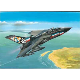 Panavia Tornado IDS 1:144