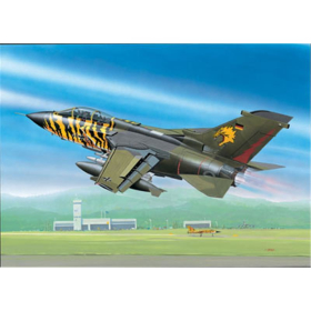 Panavia Tornado ECR 1:144